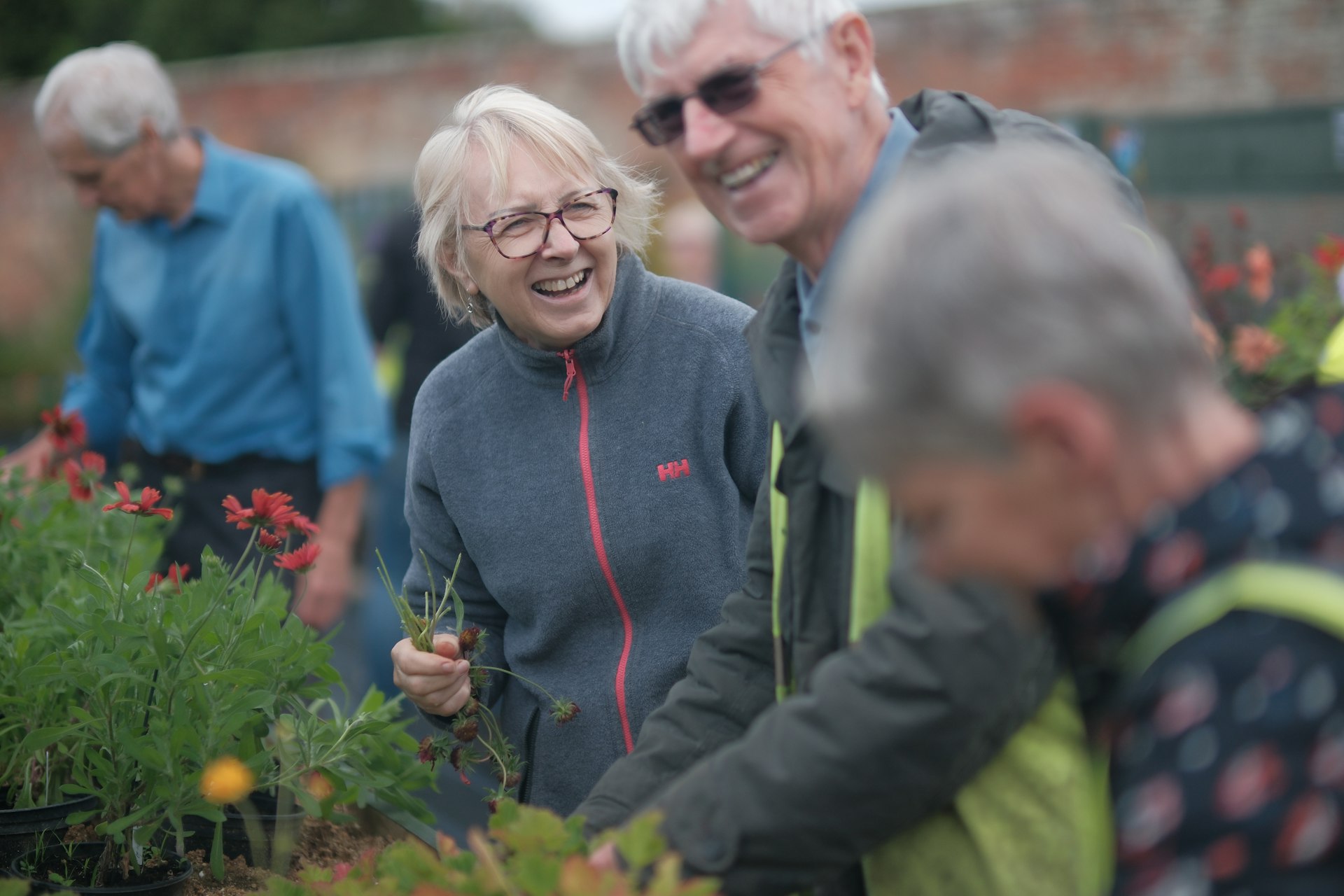 Smiling visitors choosing plants at the ActivLives autumn plant sale in Chantry Park’s walled garden